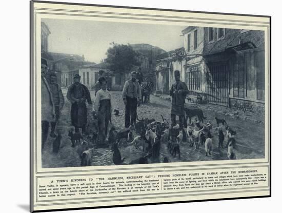 A Turk's Kindness to the Harmless-null-Mounted Photographic Print