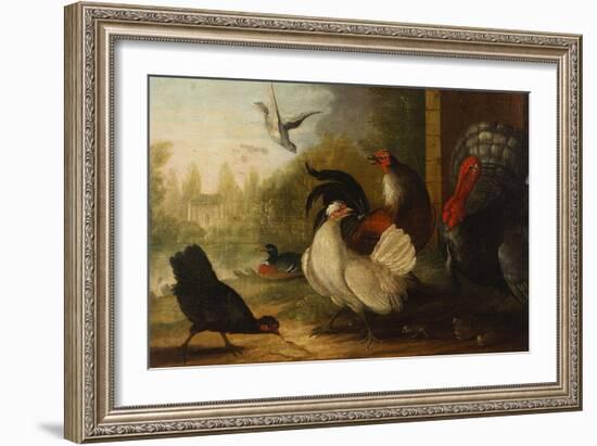 A Turkey, a Duck and Poultry in an Ornamental Garden-Marmaduke Cradock-Framed Giclee Print