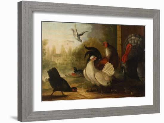A Turkey, a Duck and Poultry in an Ornamental Garden-Marmaduke Cradock-Framed Giclee Print