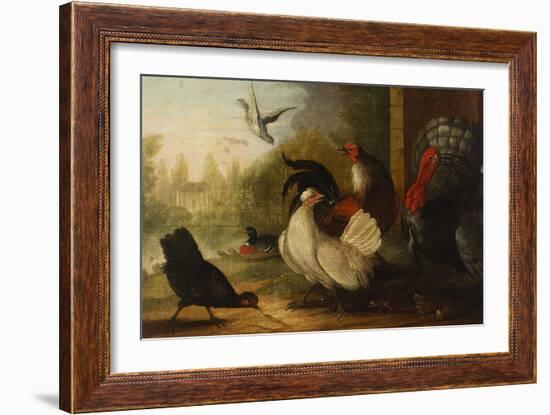 A Turkey, a Duck and Poultry in an Ornamental Garden-Marmaduke Cradock-Framed Giclee Print