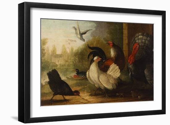 A Turkey, a Duck and Poultry in an Ornamental Garden-Marmaduke Cradock-Framed Giclee Print