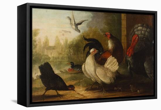 A Turkey, a Duck and Poultry in an Ornamental Garden-Marmaduke Cradock-Framed Premier Image Canvas