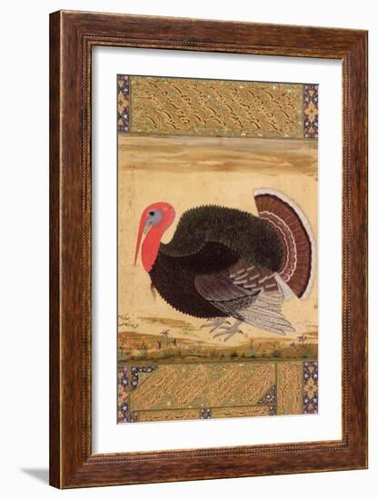 A Turkey-Cock, Brought to Jahangir from Goa in 1612, from the Wantage Album, Mughal, circa 1612-Ustad Mansur-Framed Giclee Print