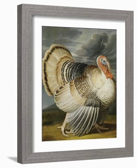 A Turkey in a Landsape-Peter Wenceslaus-Framed Giclee Print