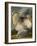 A Turkey in a Landsape-Peter Wenceslaus-Framed Giclee Print