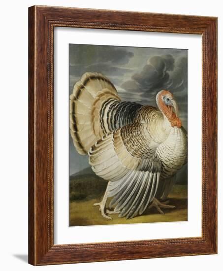 A Turkey in a Landsape-Peter Wenceslaus-Framed Giclee Print