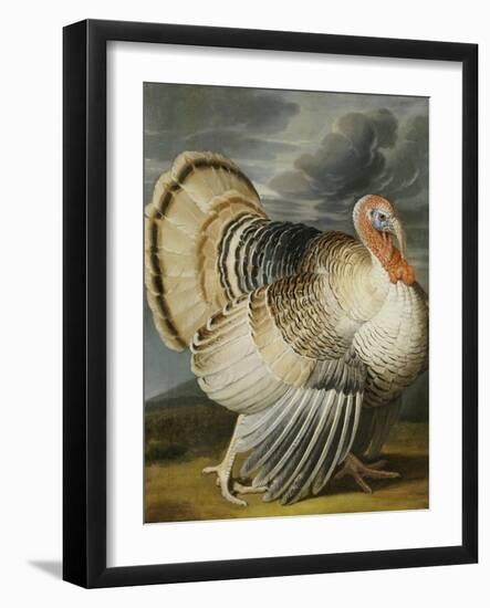 A Turkey in a Landsape-Peter Wenceslaus-Framed Giclee Print