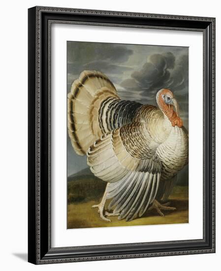 A Turkey in a Landsape-Peter Wenceslaus-Framed Giclee Print