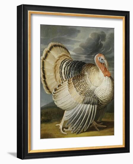 A Turkey in a Landsape-Peter Wenceslaus-Framed Giclee Print