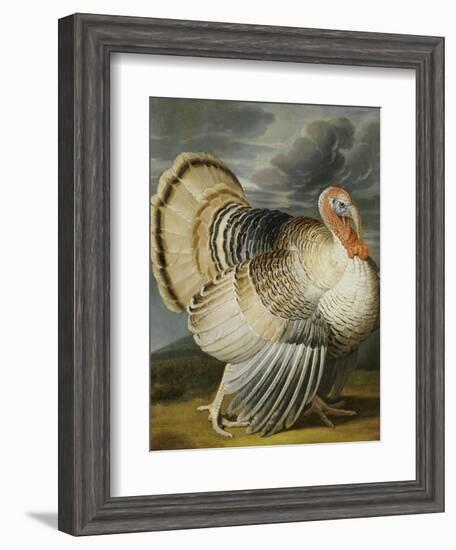 A Turkey in a Landsape-Peter Wenceslaus-Framed Giclee Print