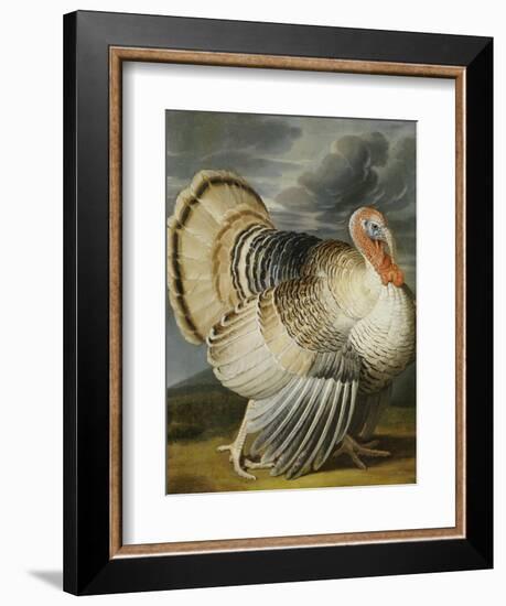 A Turkey in a Landsape-Peter Wenceslaus-Framed Giclee Print