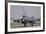 A Turkish Air Force F-16C Block 52+ Taking Off from Konya Air Base, Turkey-Stocktrek Images-Framed Photographic Print