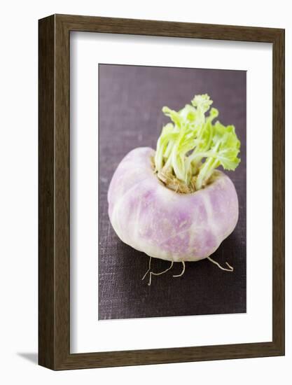 A Turnip-Foodcollection-Framed Photographic Print