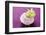 A Turnip-Foodcollection-Framed Photographic Print