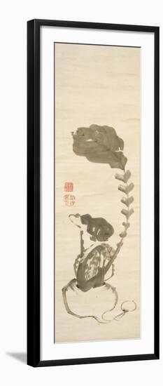 A Turnip-Jakuchu Ito-Framed Giclee Print