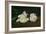 A Twig of White Peonies with Pruning Shears, 1864-Edouard Manet-Framed Giclee Print
