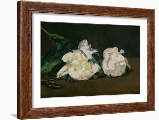 A Twig of White Peonies with Pruning Shears, 1864-Edouard Manet-Framed Giclee Print