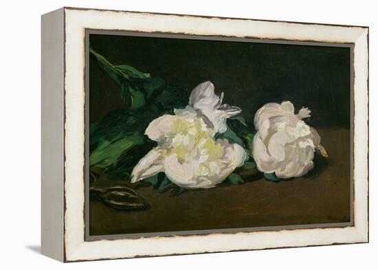 A Twig of White Peonies with Pruning Shears, 1864-Edouard Manet-Framed Premier Image Canvas