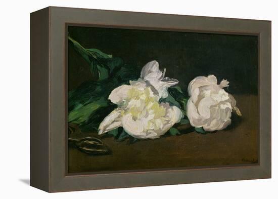 A Twig of White Peonies with Pruning Shears, 1864-Edouard Manet-Framed Premier Image Canvas