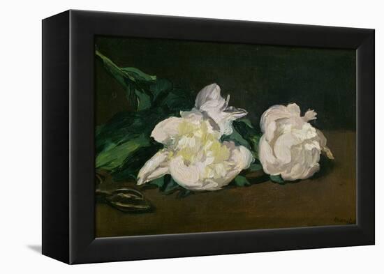 A Twig of White Peonies with Pruning Shears, 1864-Edouard Manet-Framed Premier Image Canvas