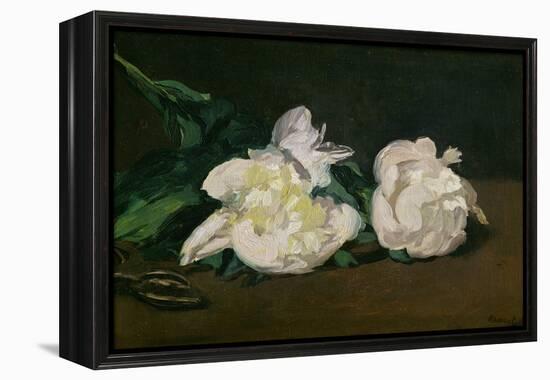 A Twig of White Peonies with Pruning Shears, 1864-Edouard Manet-Framed Premier Image Canvas