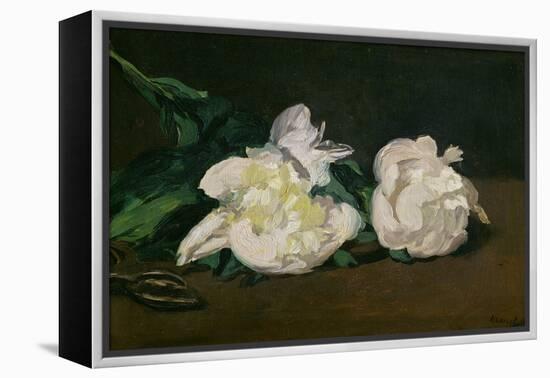 A Twig of White Peonies with Pruning Shears, 1864-Edouard Manet-Framed Premier Image Canvas