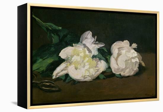 A Twig of White Peonies with Pruning Shears, 1864-Edouard Manet-Framed Premier Image Canvas