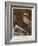 A Type of Female Beauty-Sir Lawrence Alma-Tadema-Framed Giclee Print