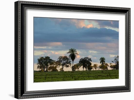 A Typical Farm Scene in Bonito with Cerrado Vegetation, Brazil-Alex Saberi-Framed Photographic Print