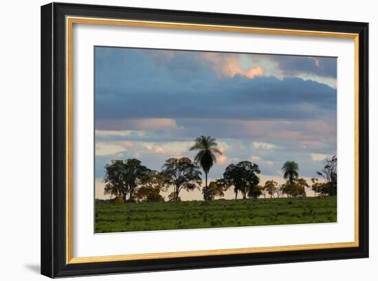 A Typical Farm Scene in Bonito with Cerrado Vegetation, Brazil-Alex Saberi-Framed Photographic Print