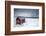 A Typical House of the Fishermen Called Rorbu on the Snowy Beach Framed the Icy Sea, Norway-Roberto Moiola-Framed Photographic Print