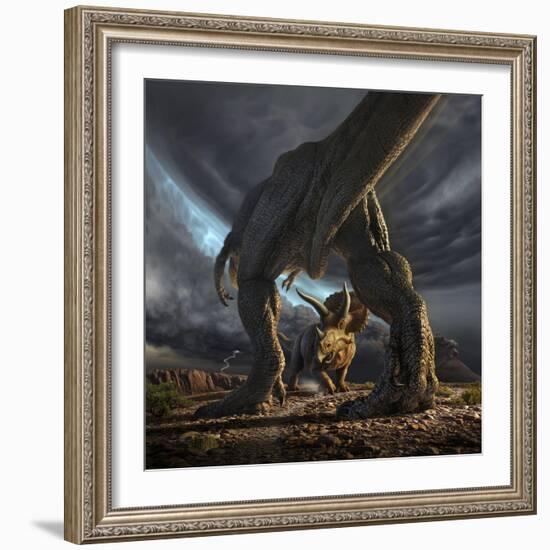 A Tyrannosaurus Rex and Triceratops in a Classic Face Off-null-Framed Art Print