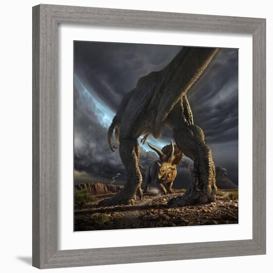 A Tyrannosaurus Rex and Triceratops in a Classic Face Off-null-Framed Art Print