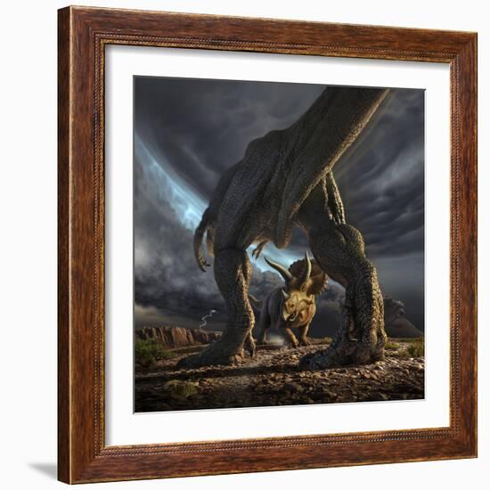 A Tyrannosaurus Rex and Triceratops in a Classic Face Off-null-Framed Art Print