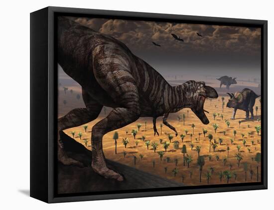 A Tyrannosaurus Rex Spots Two Passing Triceratops-Stocktrek Images-Framed Premier Image Canvas