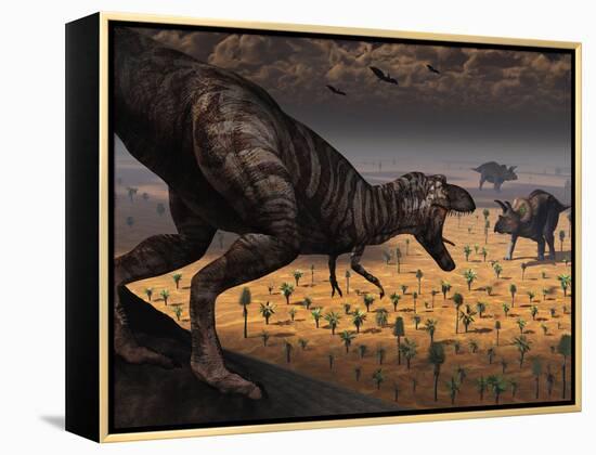 A Tyrannosaurus Rex Spots Two Passing Triceratops-Stocktrek Images-Framed Premier Image Canvas