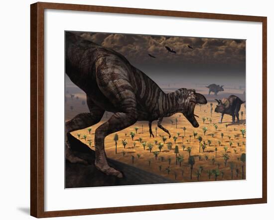 A Tyrannosaurus Rex Spots Two Passing Triceratops-Stocktrek Images-Framed Photographic Print