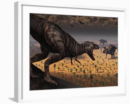 A Tyrannosaurus Rex Spots Two Passing Triceratops-Stocktrek Images-Framed Photographic Print