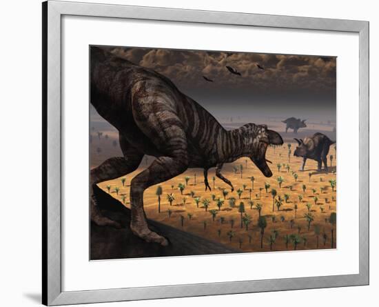 A Tyrannosaurus Rex Spots Two Passing Triceratops-Stocktrek Images-Framed Photographic Print