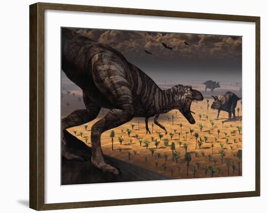 A Tyrannosaurus Rex Spots Two Passing Triceratops-Stocktrek Images-Framed Photographic Print