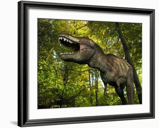 A Tyrannosaurus Wanders a Cretaceous Forest-Stocktrek Images-Framed Photographic Print