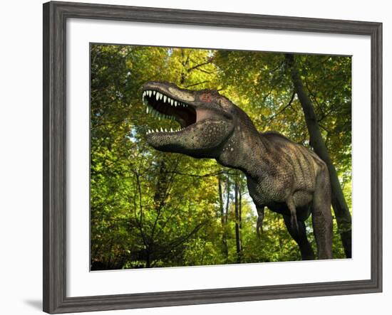 A Tyrannosaurus Wanders a Cretaceous Forest-Stocktrek Images-Framed Photographic Print