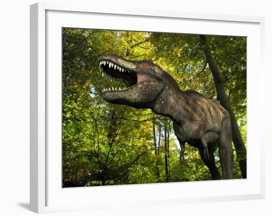 A Tyrannosaurus Wanders a Cretaceous Forest-Stocktrek Images-Framed Photographic Print