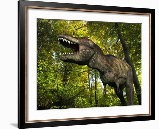 A Tyrannosaurus Wanders a Cretaceous Forest-Stocktrek Images-Framed Photographic Print