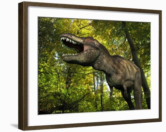 A Tyrannosaurus Wanders a Cretaceous Forest-Stocktrek Images-Framed Photographic Print