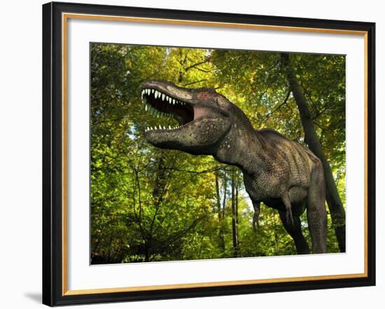 A Tyrannosaurus Wanders a Cretaceous Forest-Stocktrek Images-Framed Photographic Print