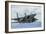 A U.S. Air Force F-15C Eagle Taking Off from Nellis Air Force Base-null-Framed Photographic Print