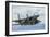 A U.S. Air Force F-15C Eagle Taking Off from Nellis Air Force Base-null-Framed Photographic Print