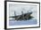 A U.S. Air Force F-15C Eagle Taking Off from Nellis Air Force Base-null-Framed Photographic Print