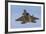 A U.S. Air Force F-22 Raptor-Stocktrek Images-Framed Photographic Print